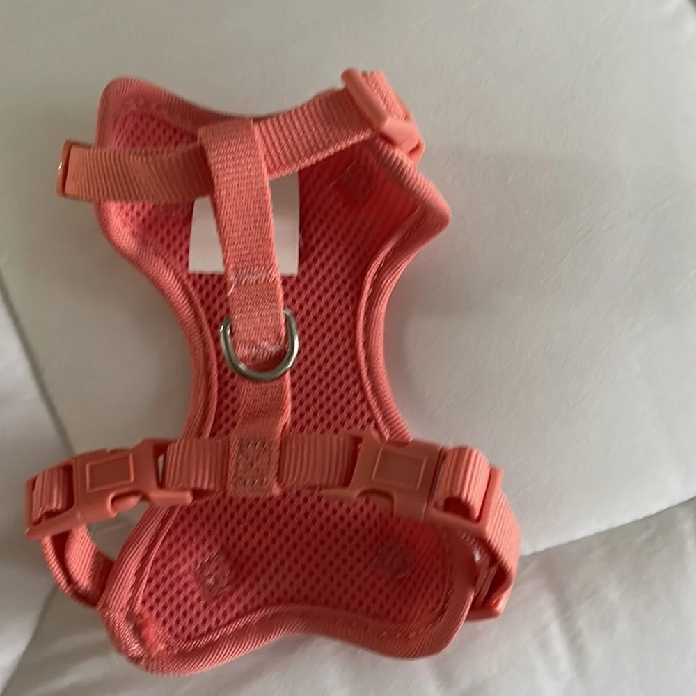 Cat harness
